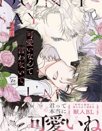 不要说我可爱~,不要说我可爱~漫画