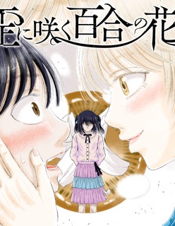 歪斜绽放的百合之花~