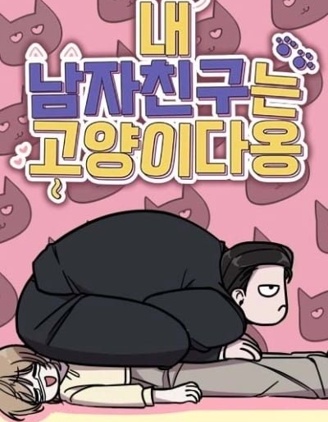 我的男友是只猫~
