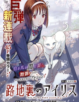 巷子里的艾莉丝~